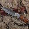 9.5" Hand Forged Steel Custom Handmade Hunting Skinning Knife -CUTLERY WHOLESALER Sales FRG26 1