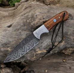 9.5" Hand Forged Steel Custom Handmade Hunting Skinning Knife -CUTLERY WHOLESALER Sales FRG26 3