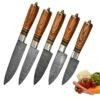 Hand Forged Damascus Steel Chef's Knife Set Of 5 Kitchen Gift Knives -CUTLERY WHOLESALER Sales SKCKS5 BR 1
